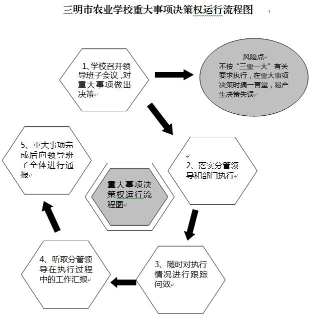 开元-开元(中国)重大事项决策权运行流程图.JPG